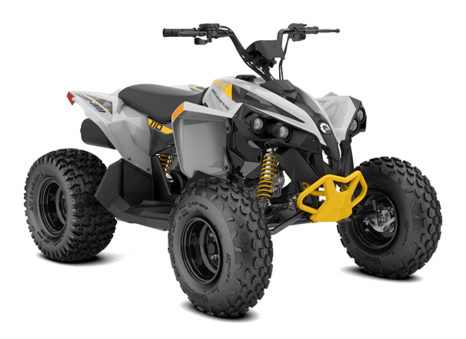 2023 Renegade 110 - 2